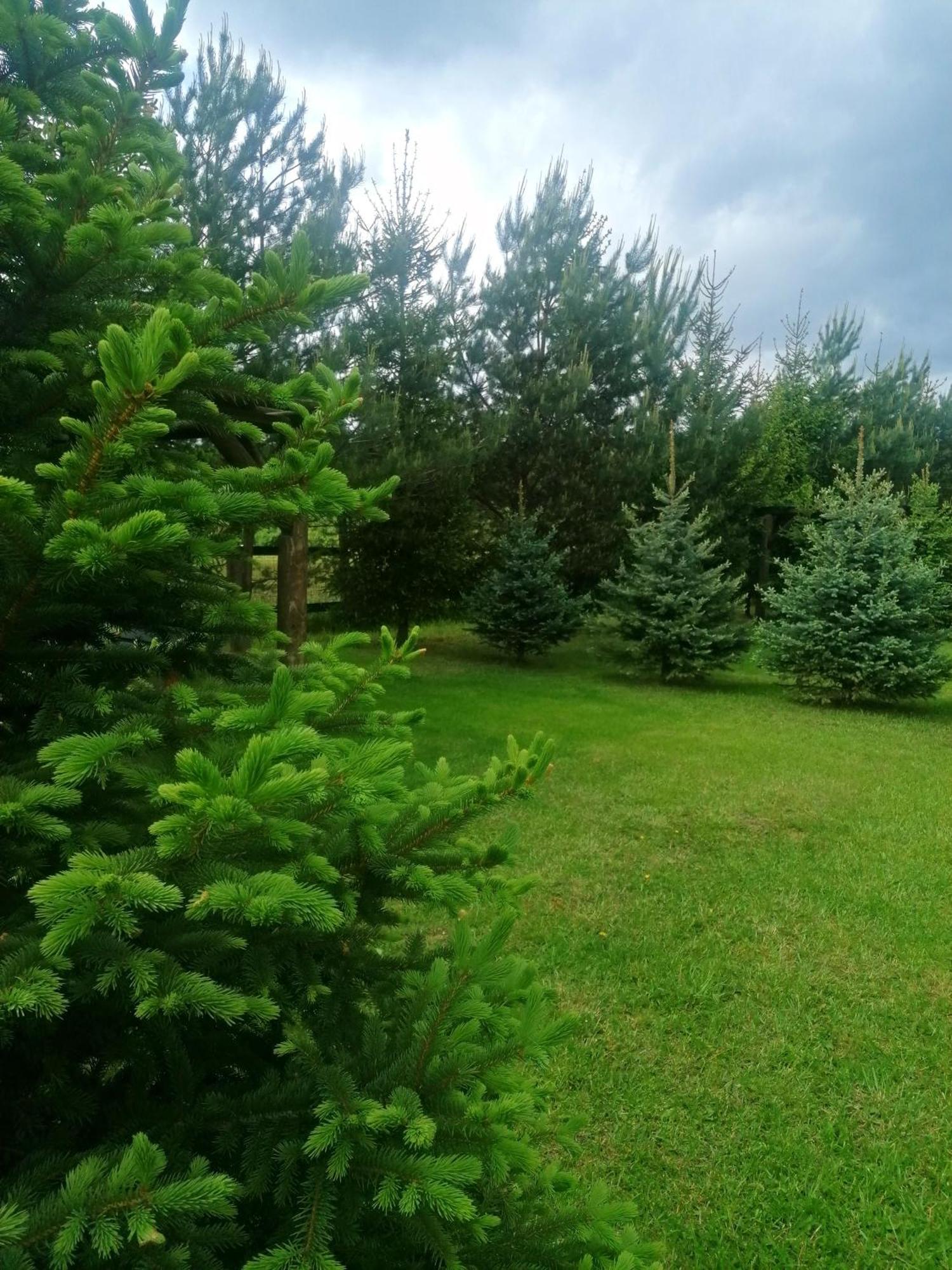 Camp Pacho Otel Prievidza Dış mekan fotoğraf