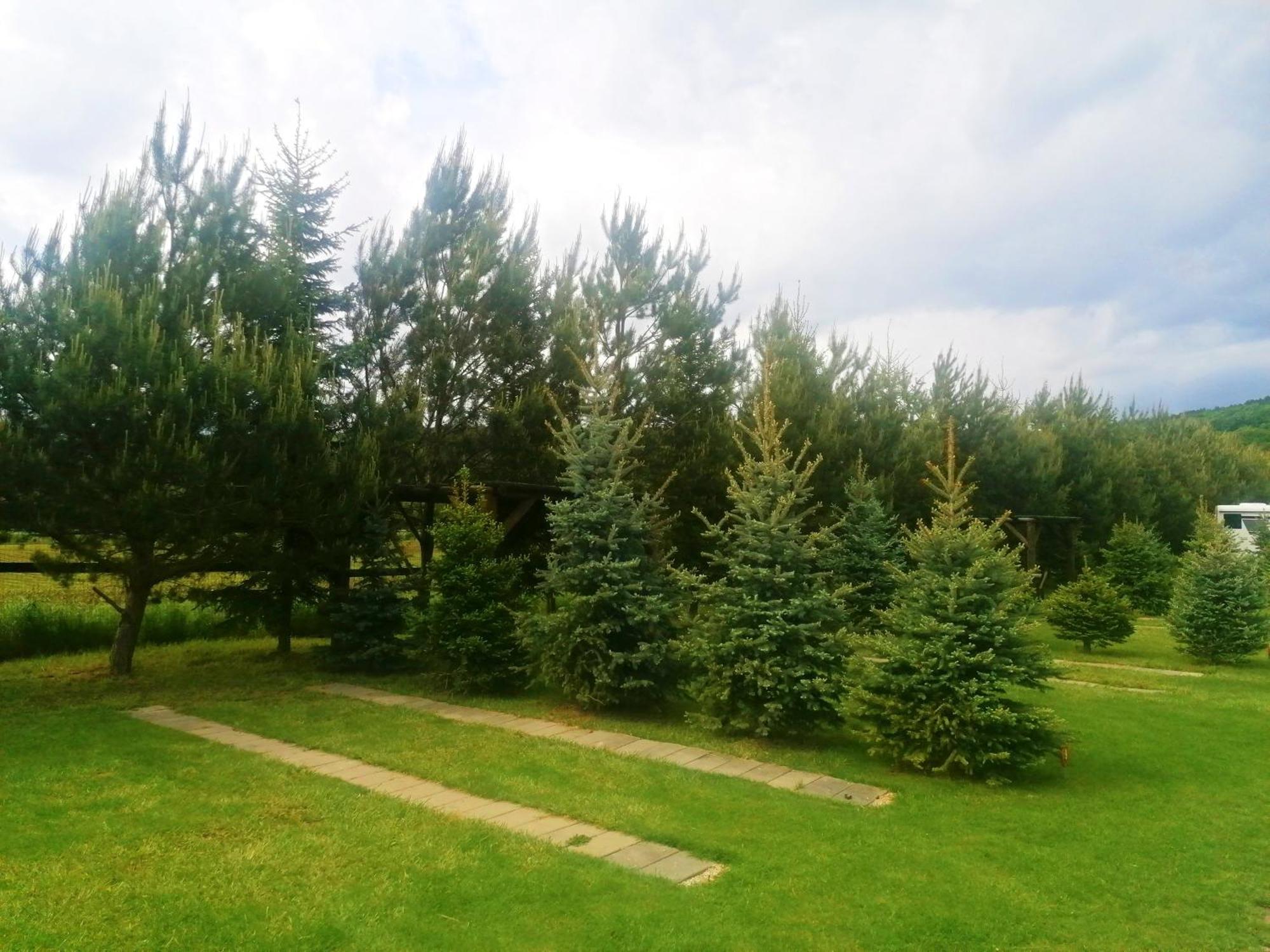 Camp Pacho Otel Prievidza Dış mekan fotoğraf